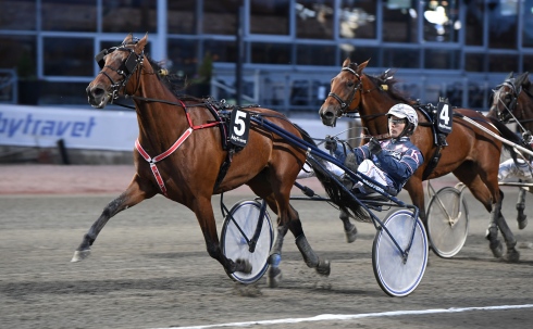 Wild Love tog på torsdagen karriärens första seger i Frankrike. Foto av Malin Albinsson TR Bild